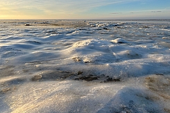 Vereistes Watt