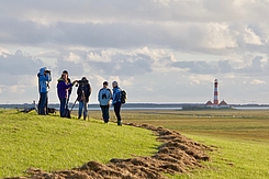 Beobachtergruppe am Deich vor Westerhever