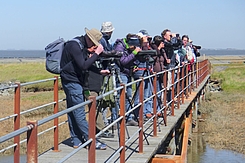 Gruppe blickt mit zahlreichen Geräten von Brücke