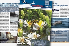 Collage von Titel- und Innenseiten